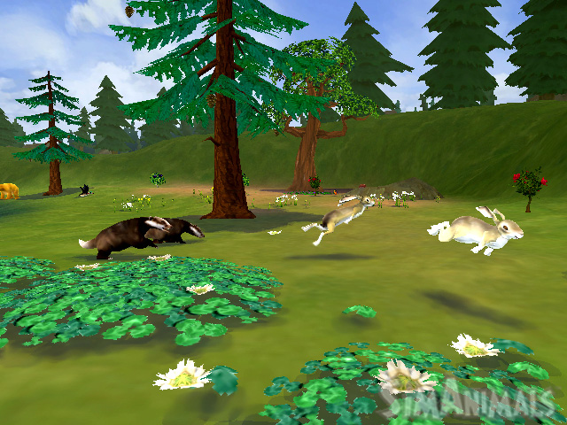 Sims Animals